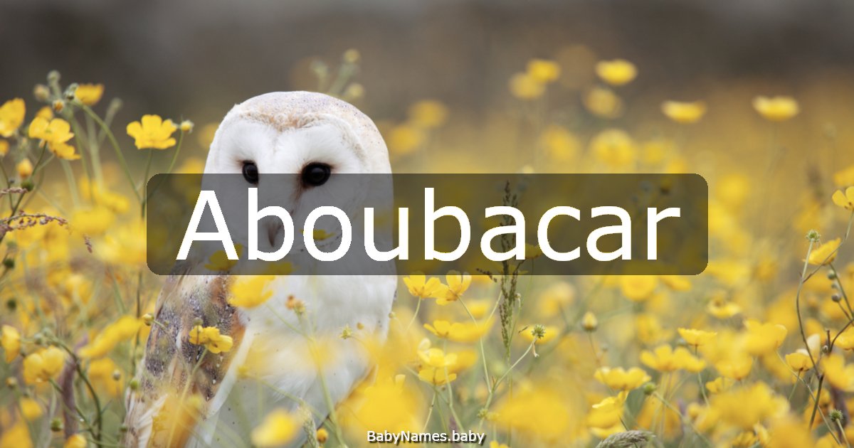 Aboubacar