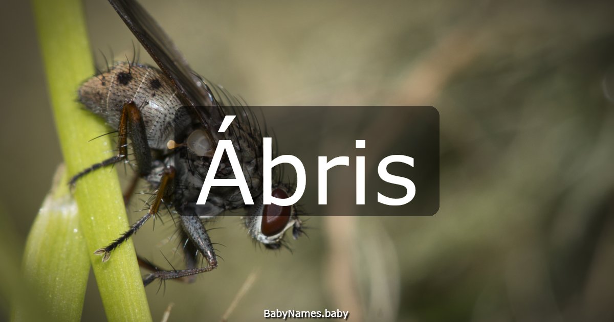 Ábris