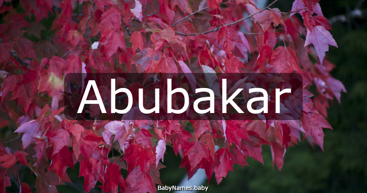 Abubakar