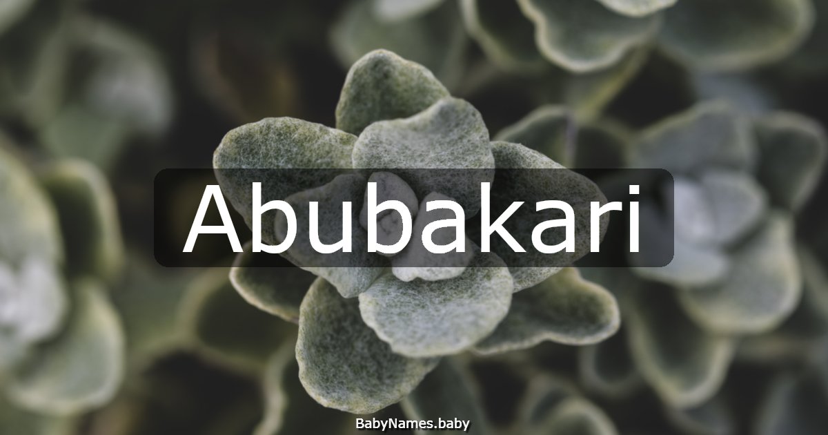 Abubakari