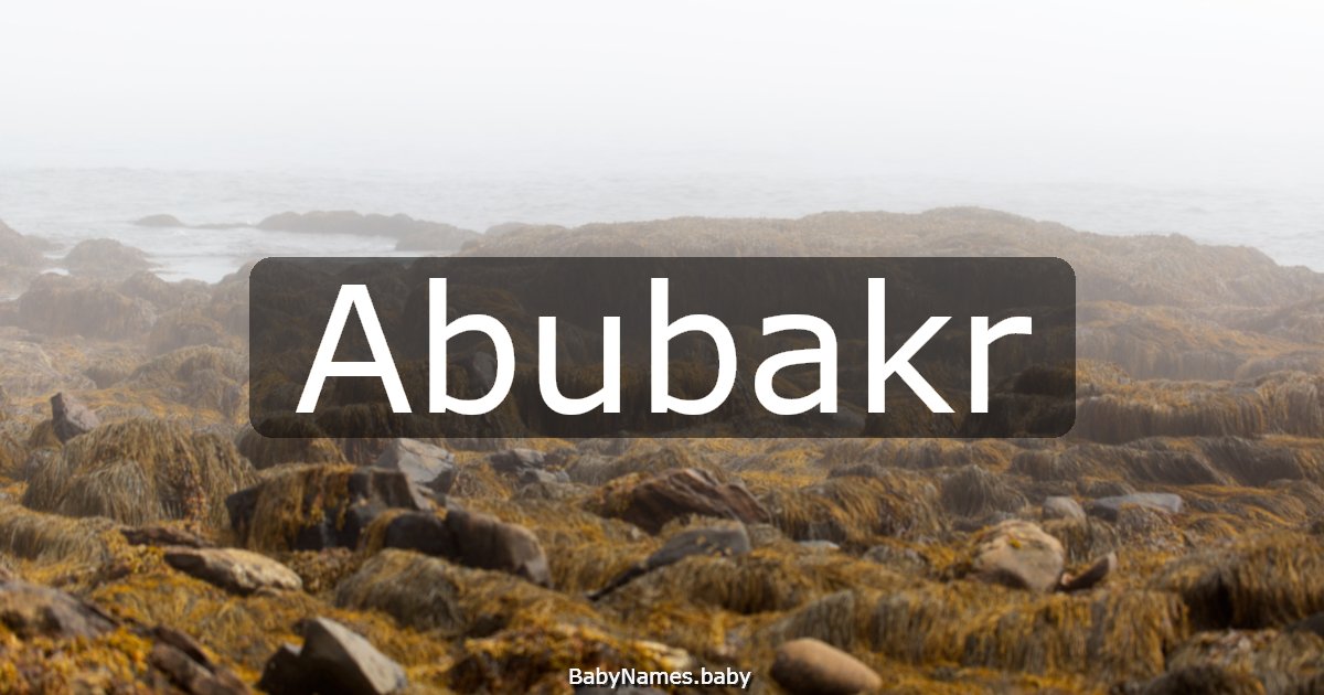 Abubakr