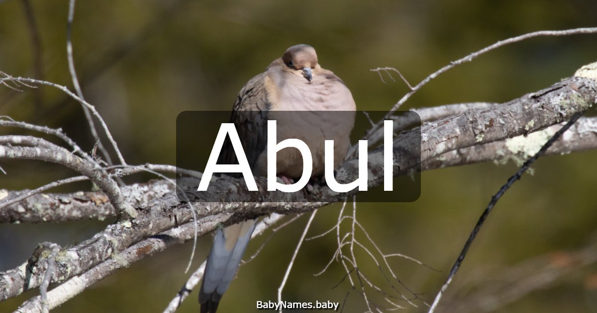 Abul