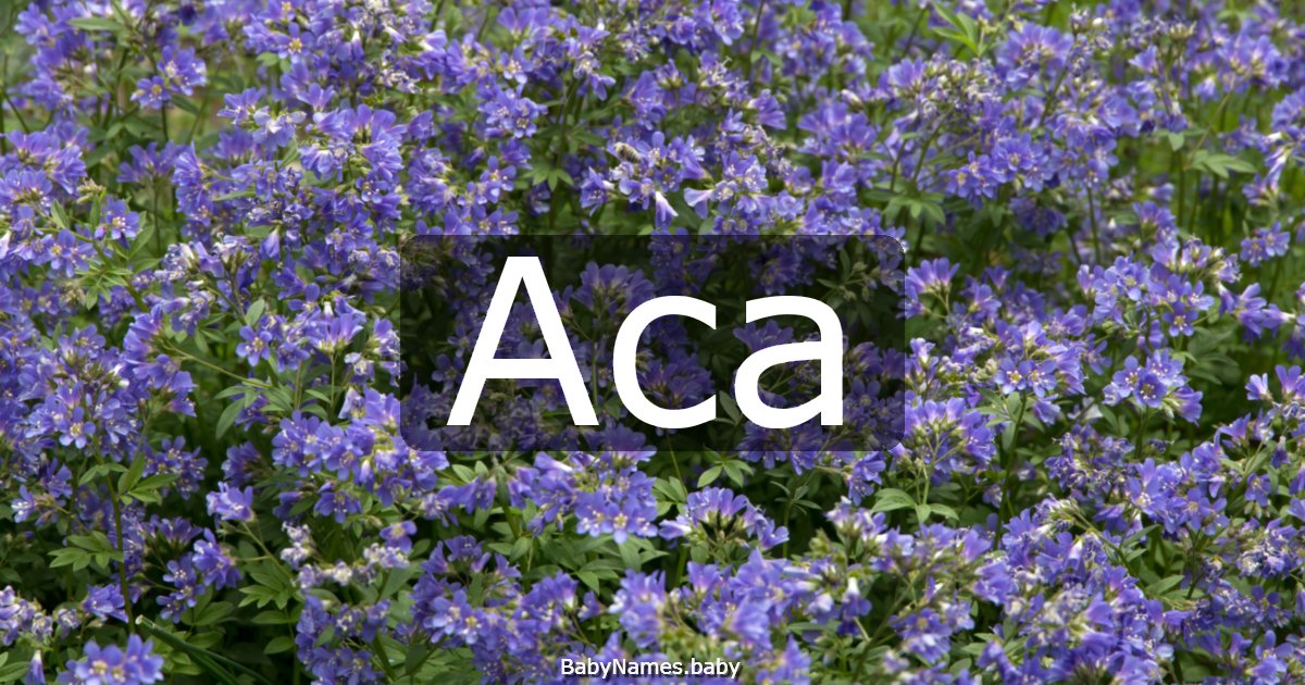 Aca