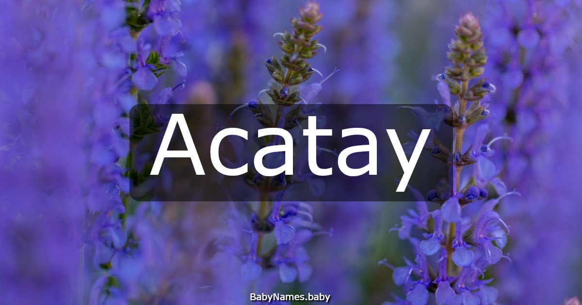 Acatay