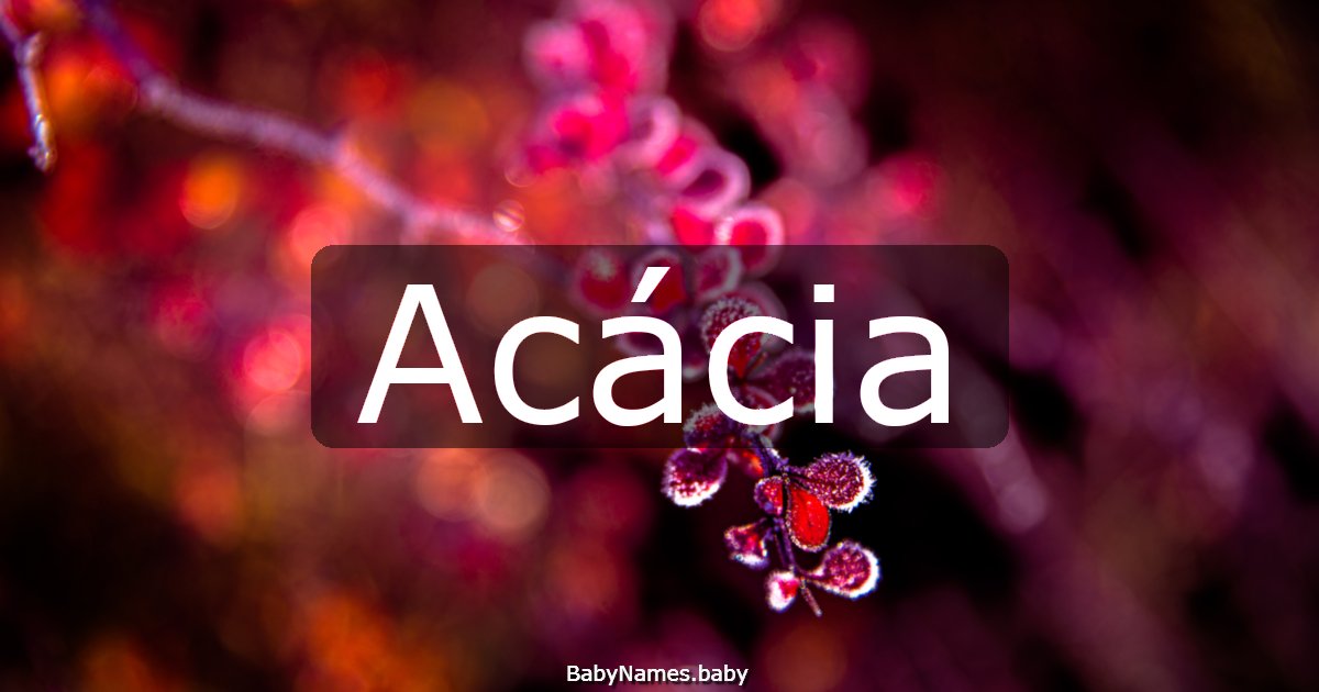 Acácia