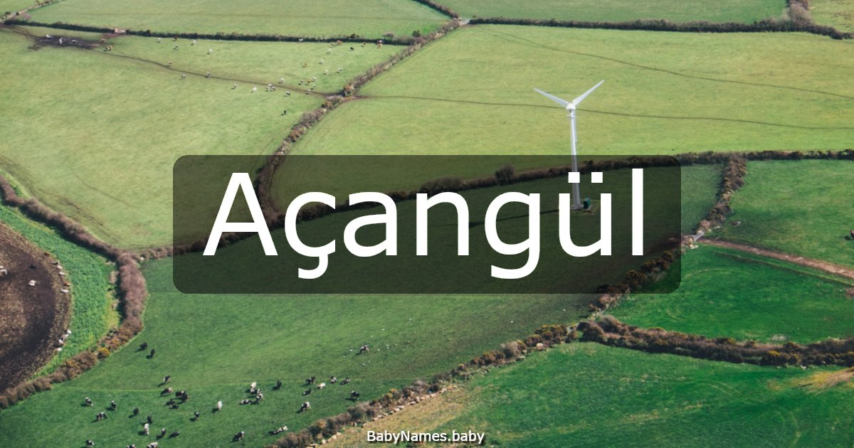 Açangül
