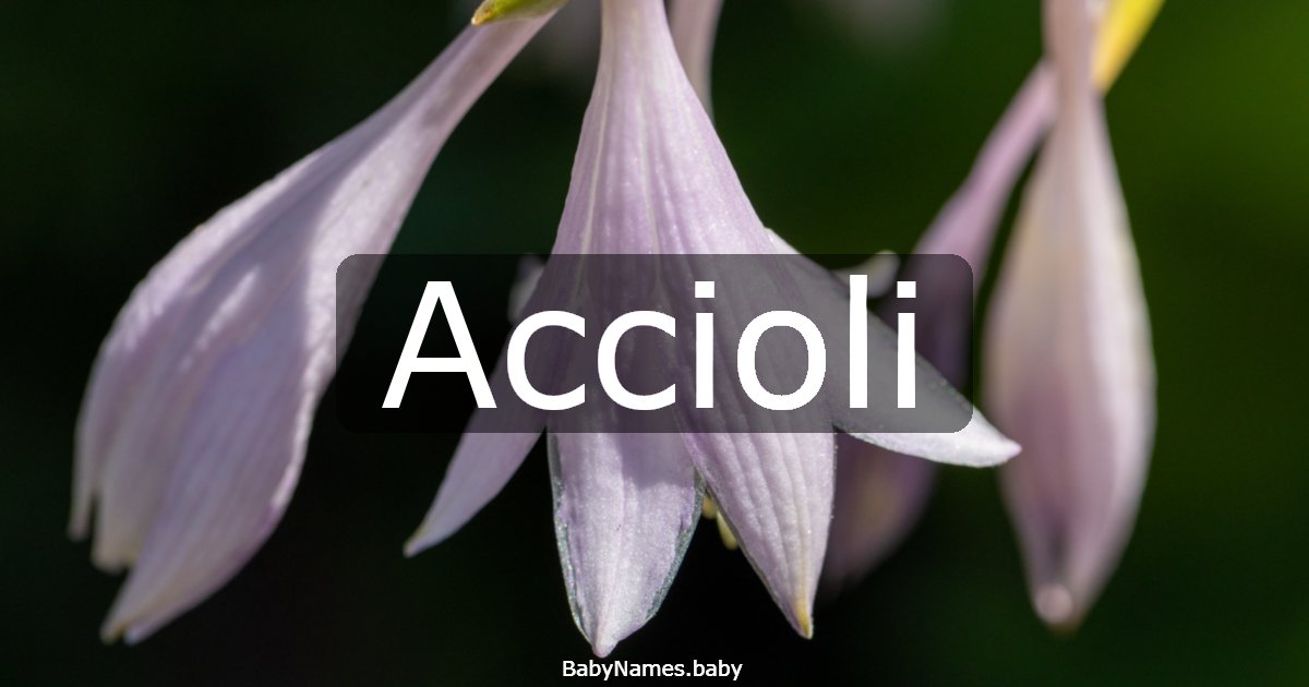Accioli