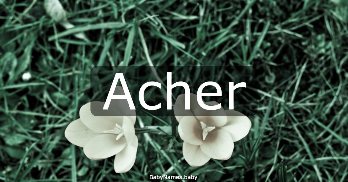 Acher