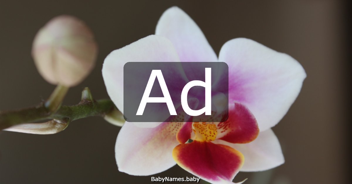 Ad