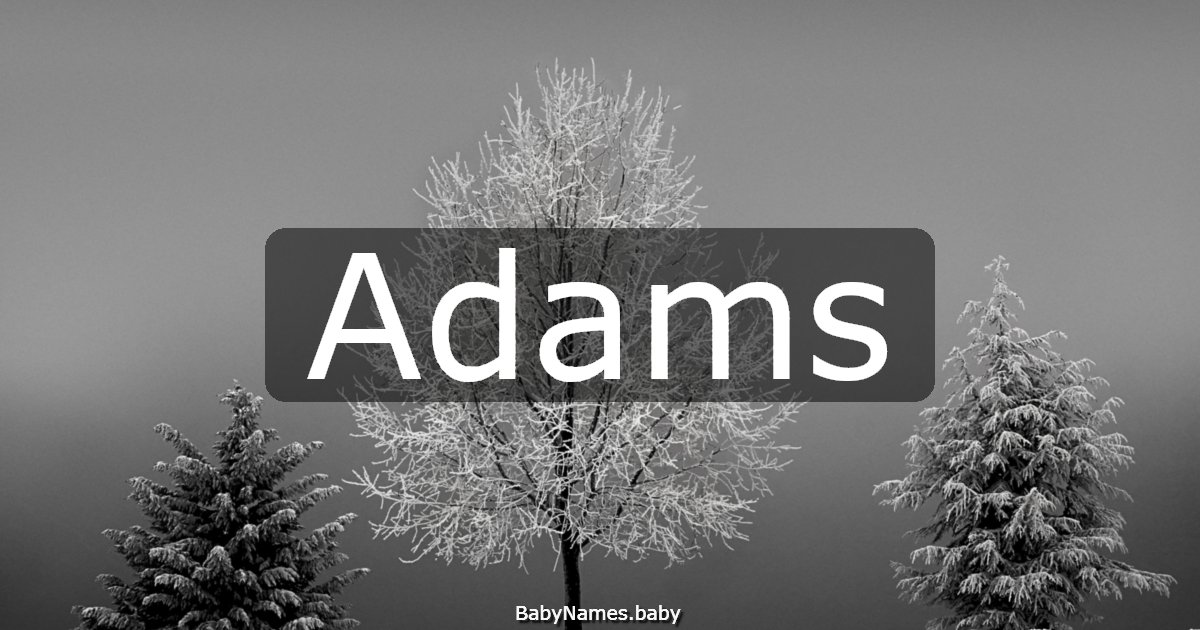 Adams