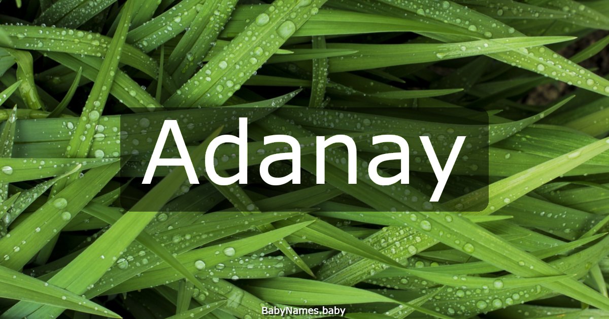 Adanay