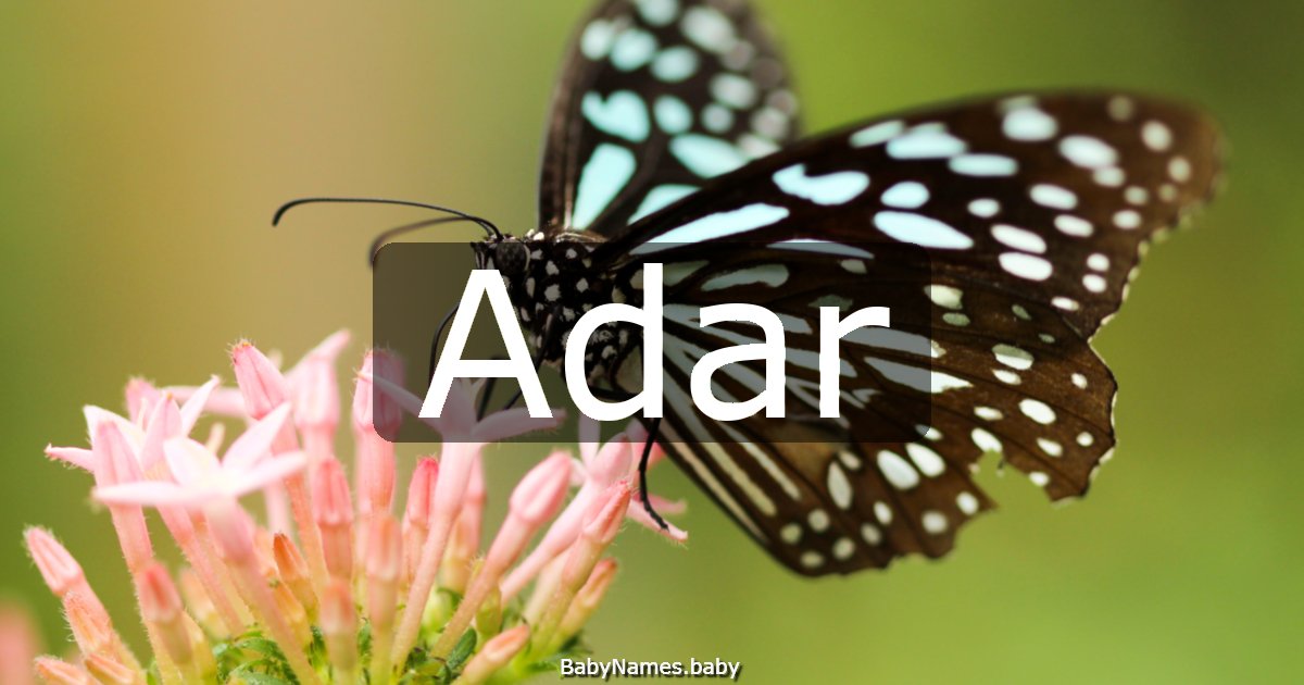 Adar