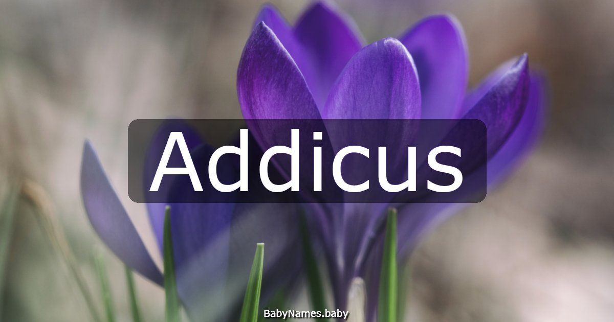 Addicus