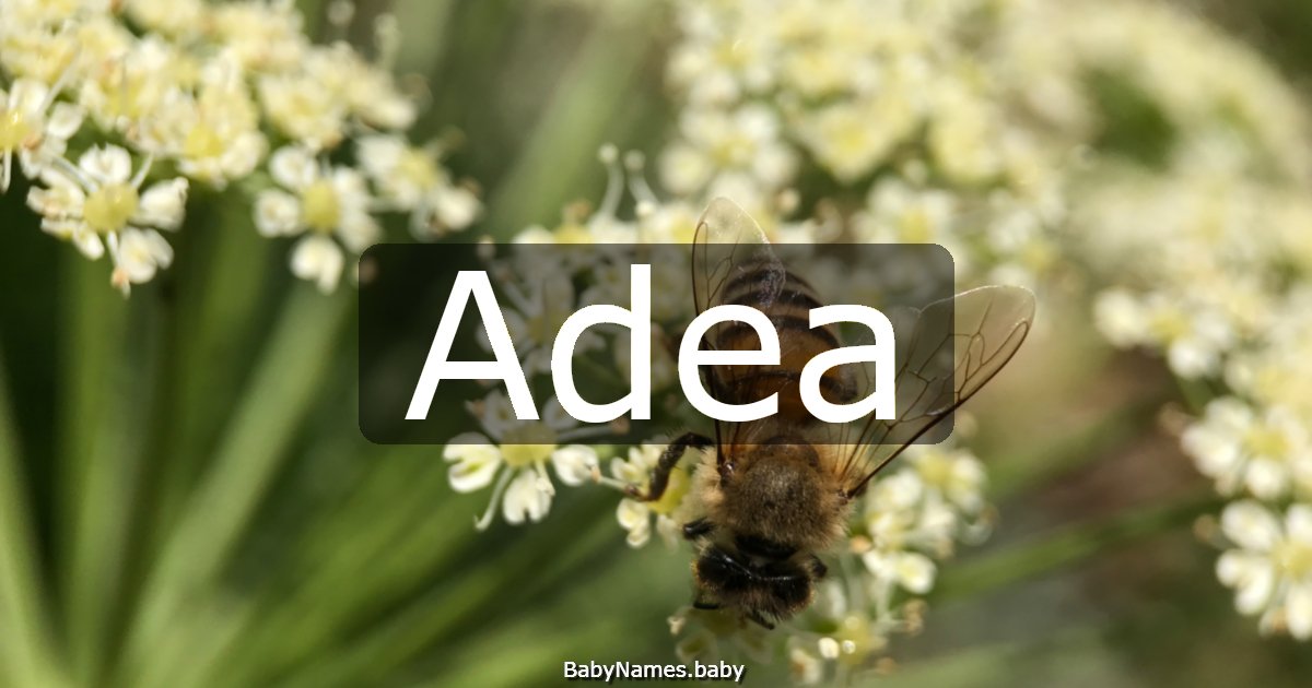 Adea