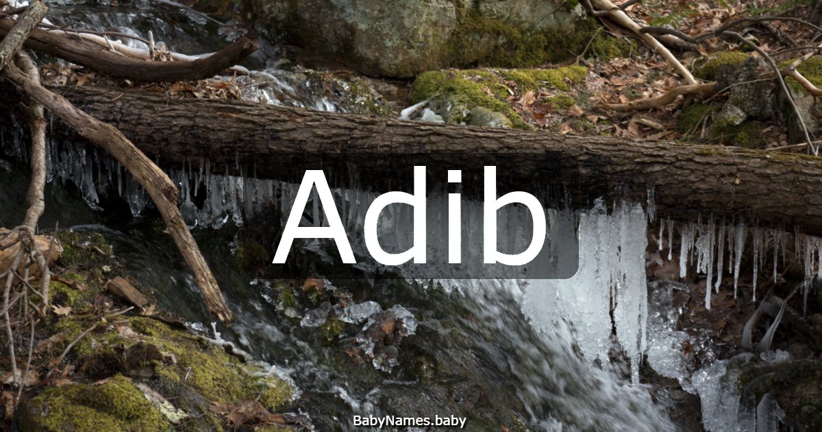 Adib