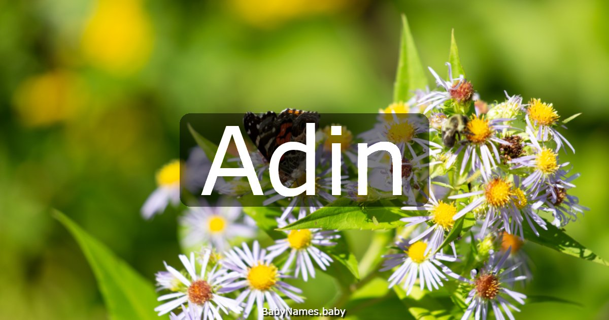 Adin