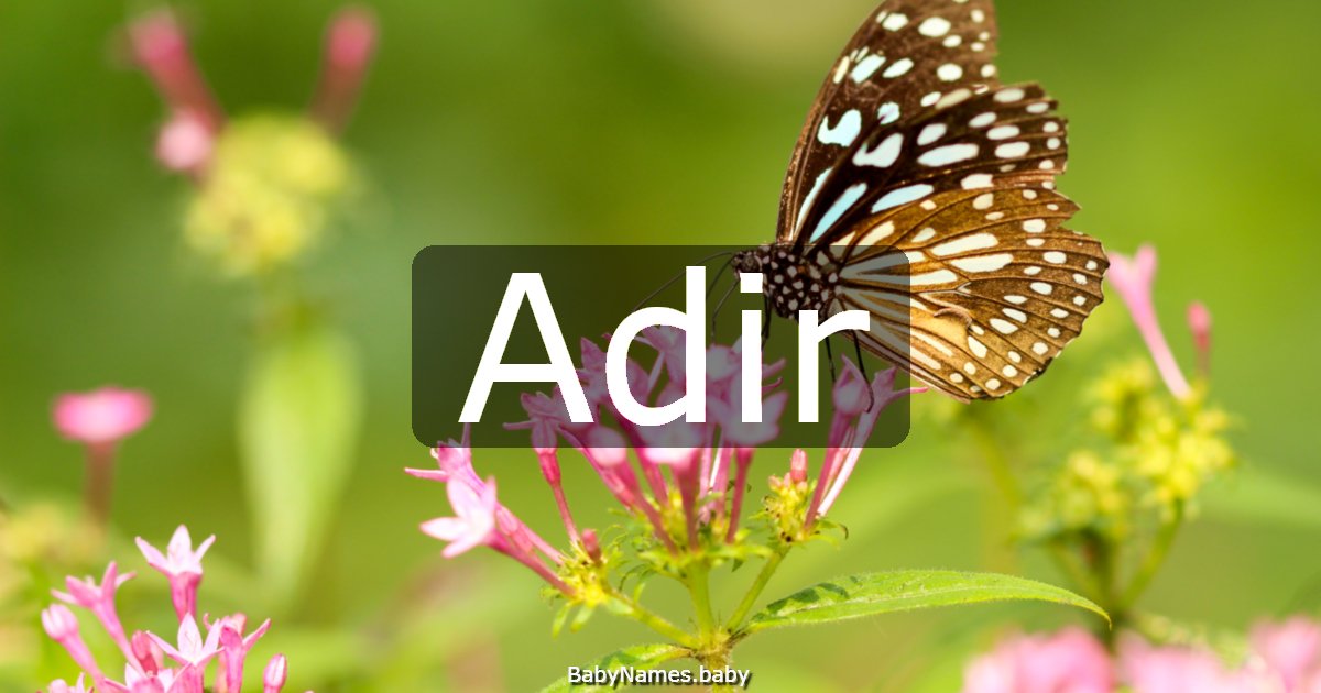 Adir