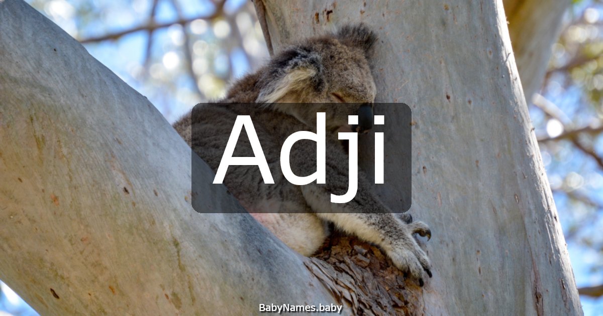 Adji