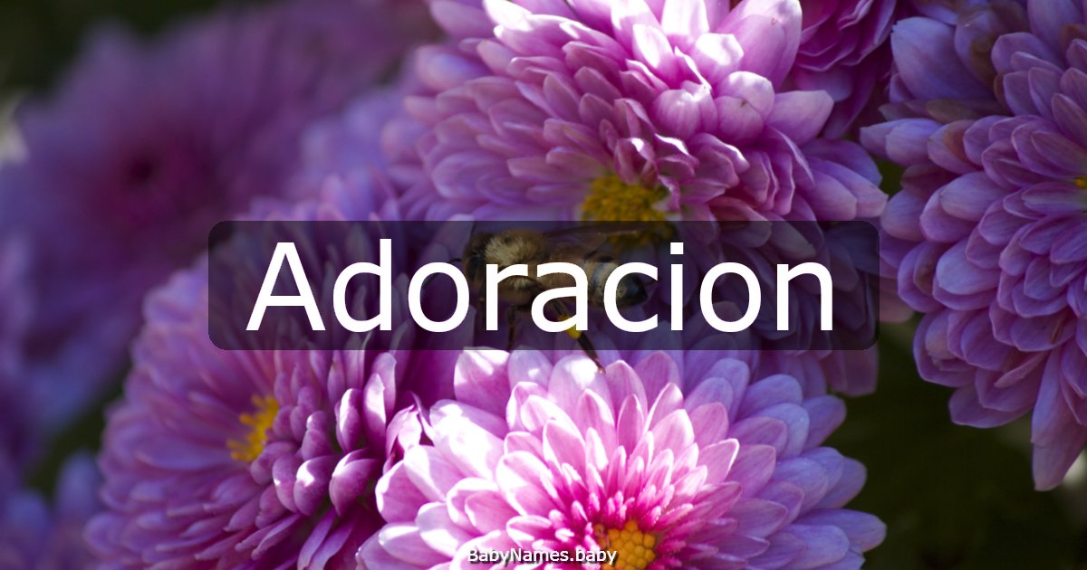 Adoracion