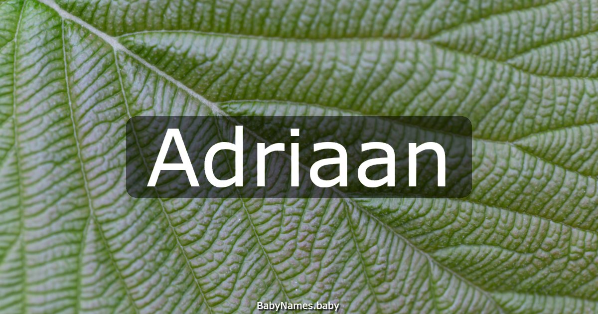 Adriaan
