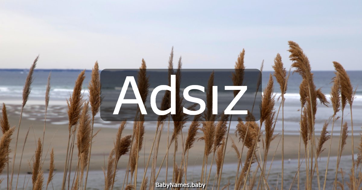 Adsız