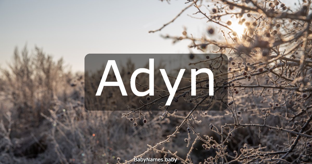 Adyn