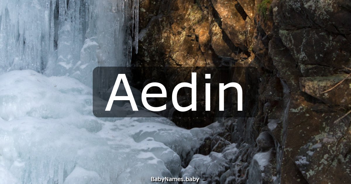 Aedin
