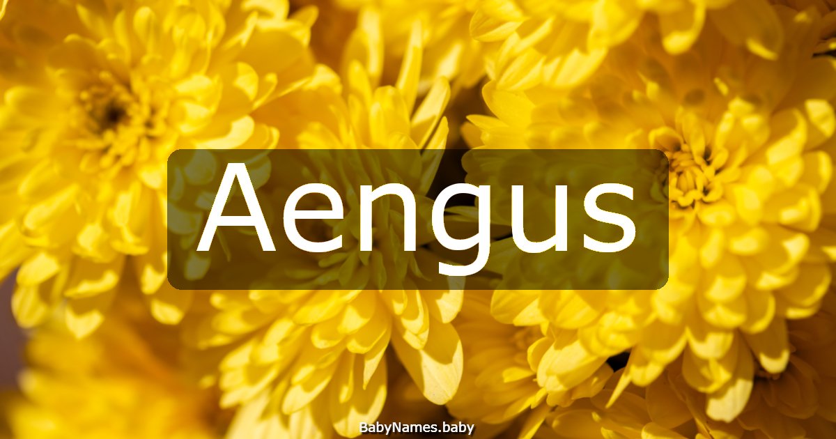 Aengus