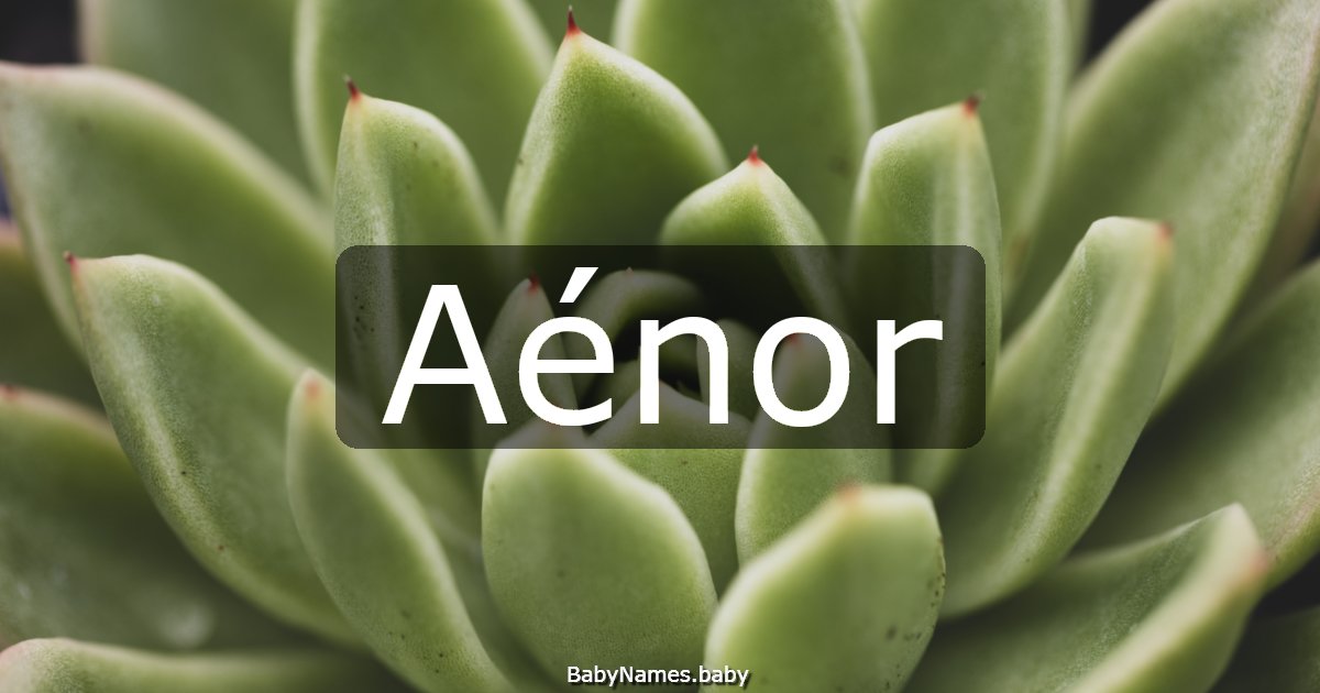 Aénor