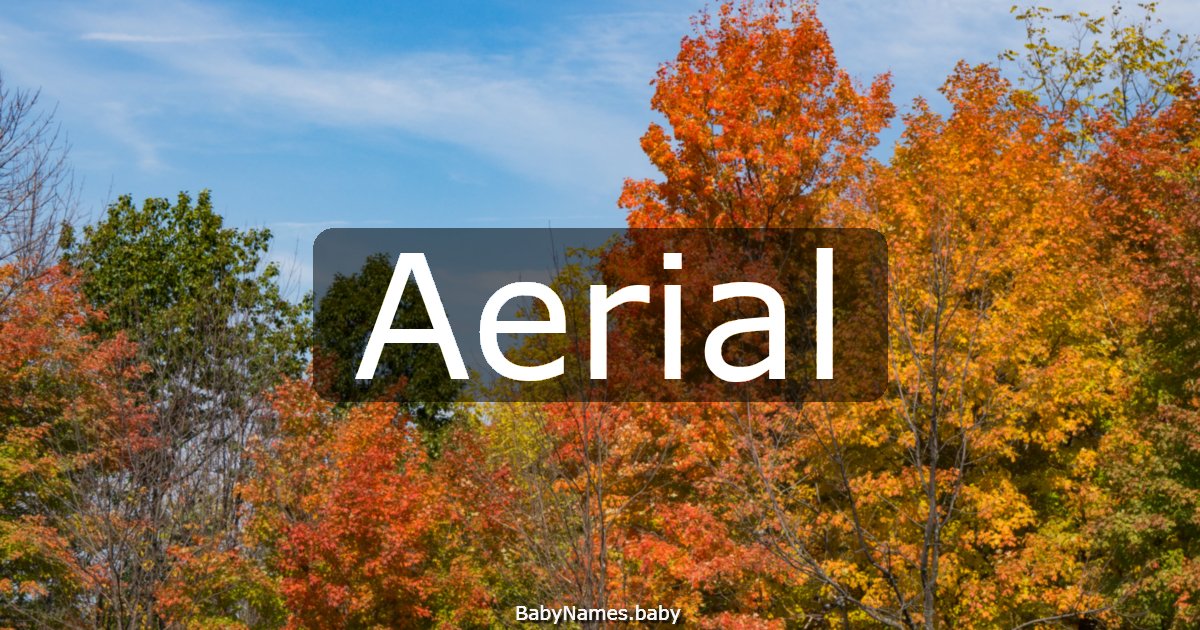 Aerial