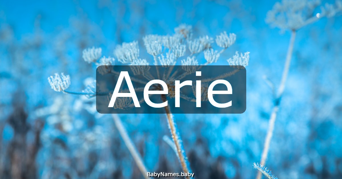 Aerie