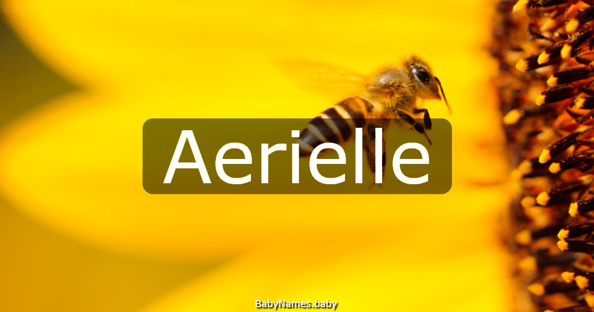 Aerielle