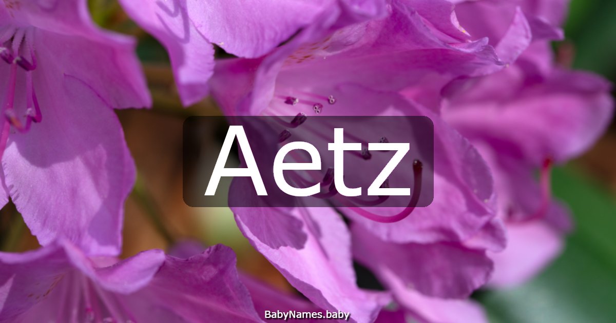 Aetz