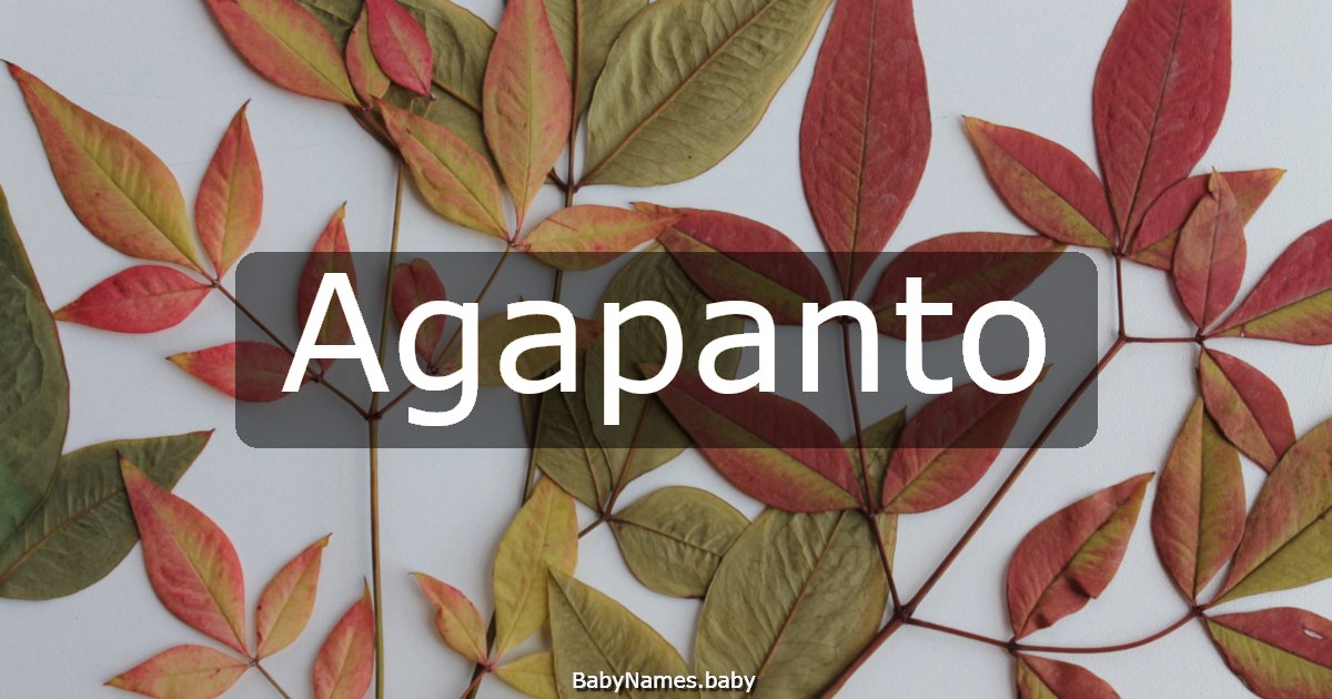 Agapanto