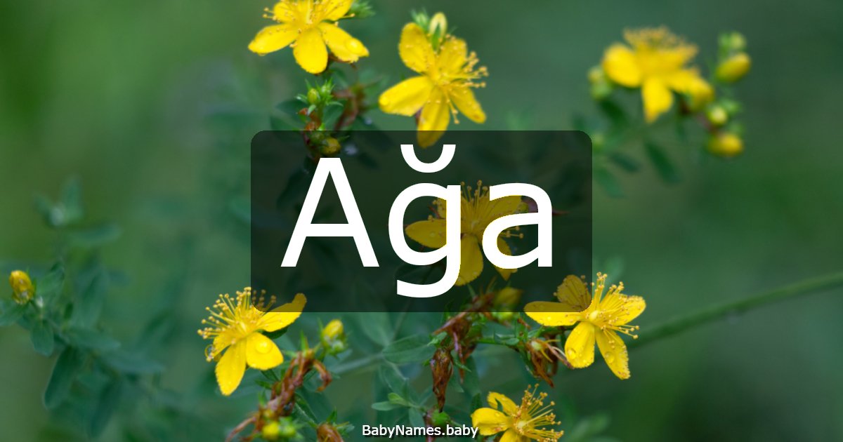 Ağa