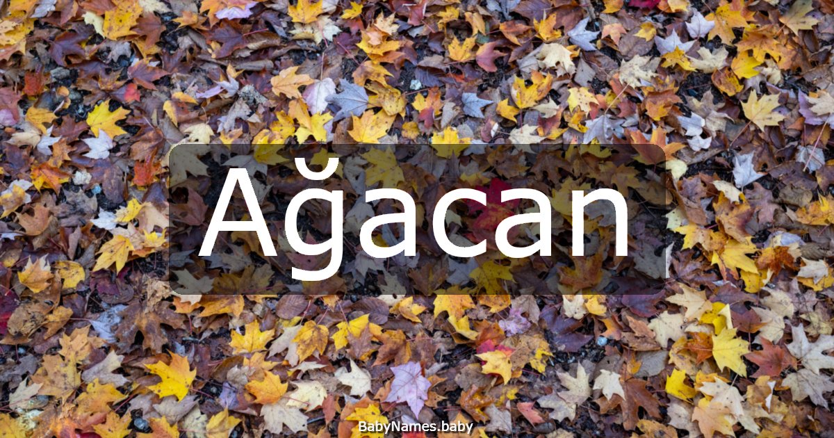 Ağacan