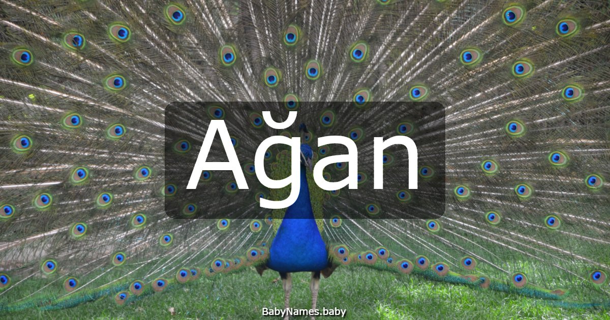 Ağan