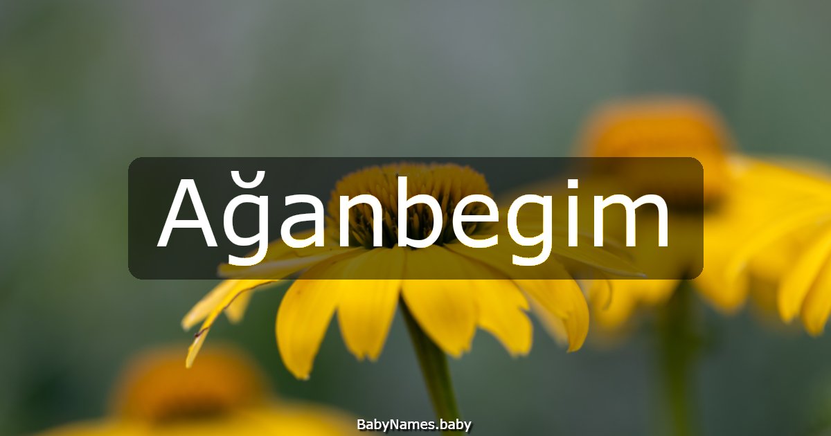 Ağanbegim