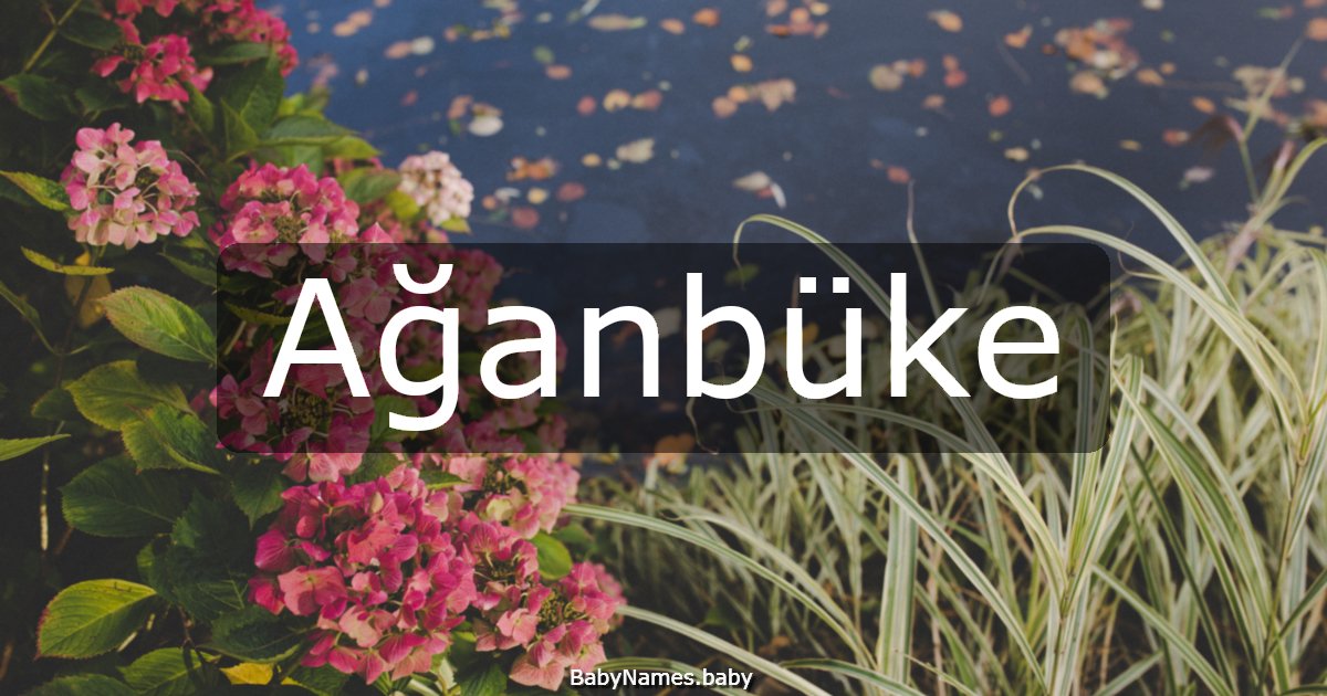 Ağanbüke