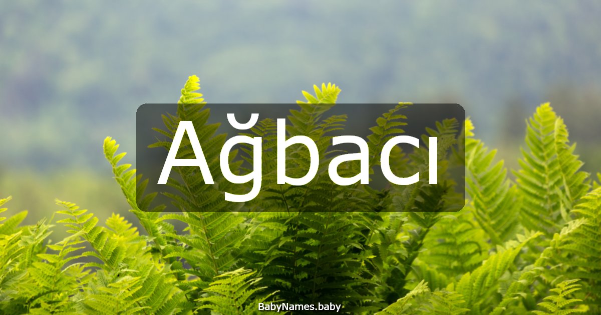 Ağbacı