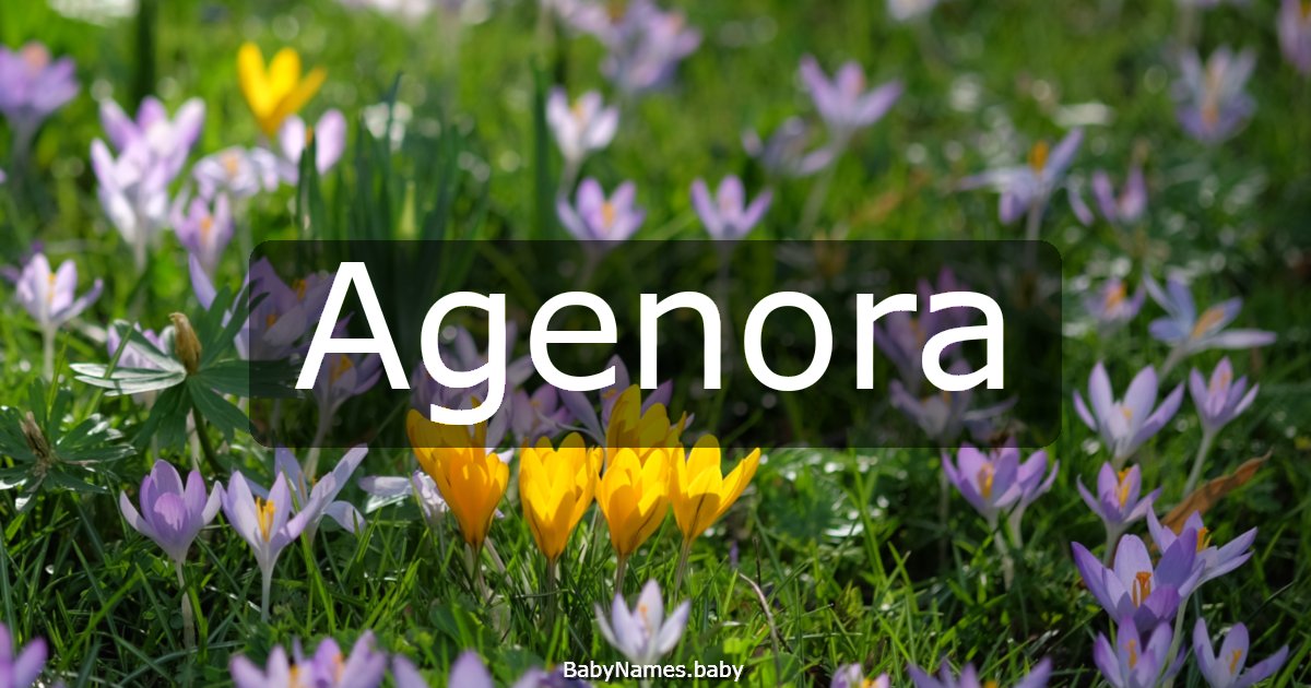Agenora