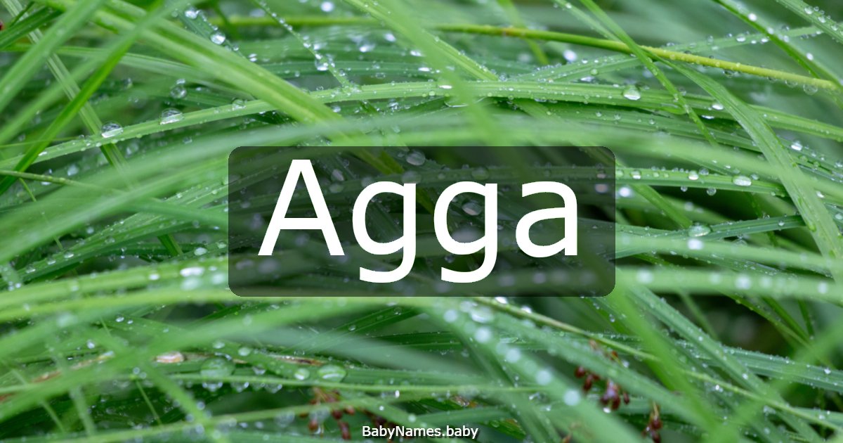 Agga