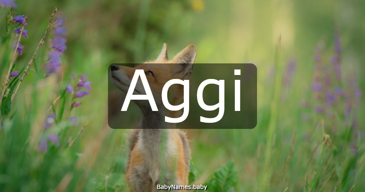 Aggi