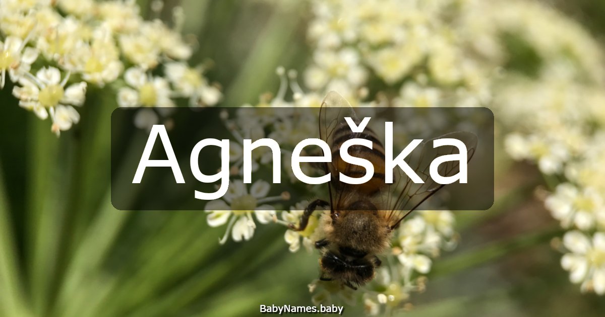 Agneška