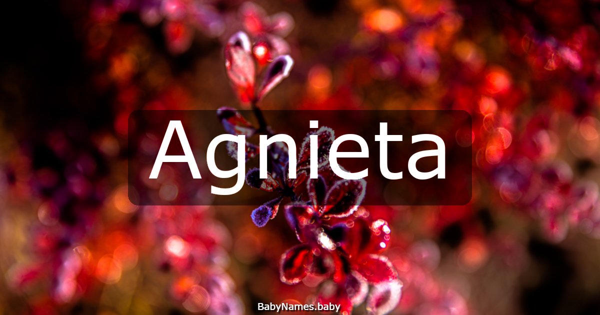 Agnieta