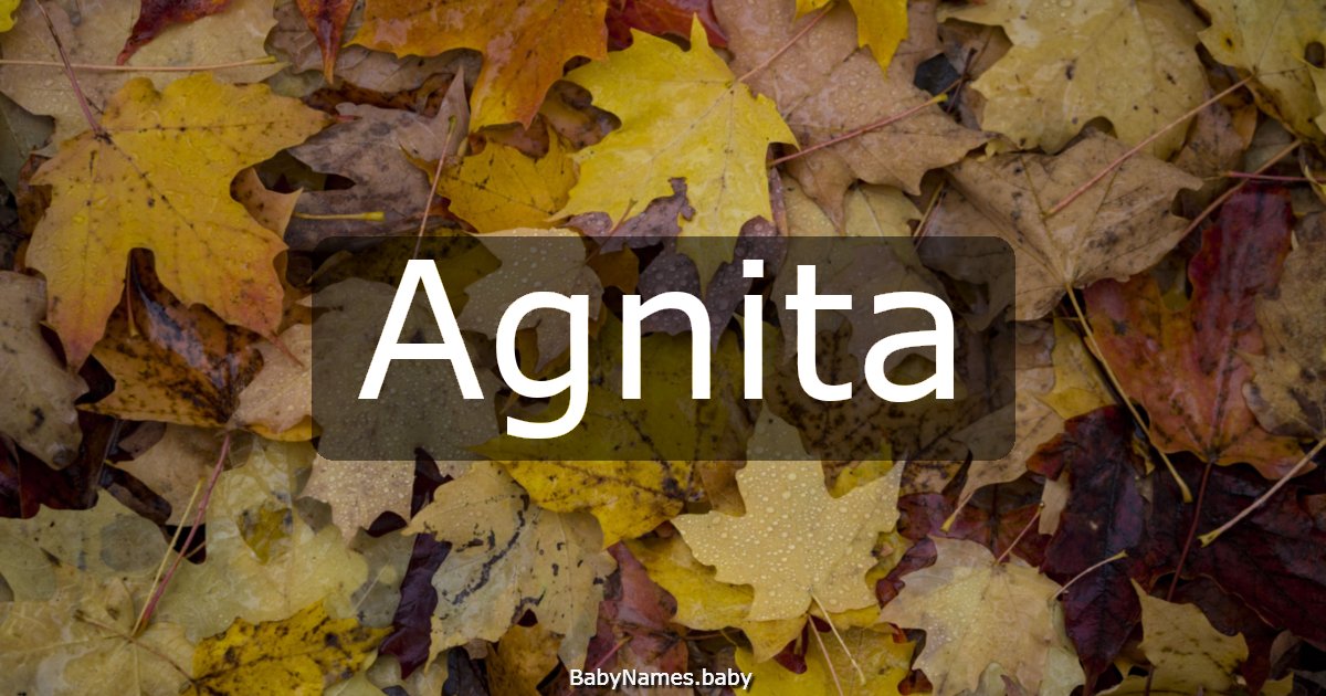 Agnita