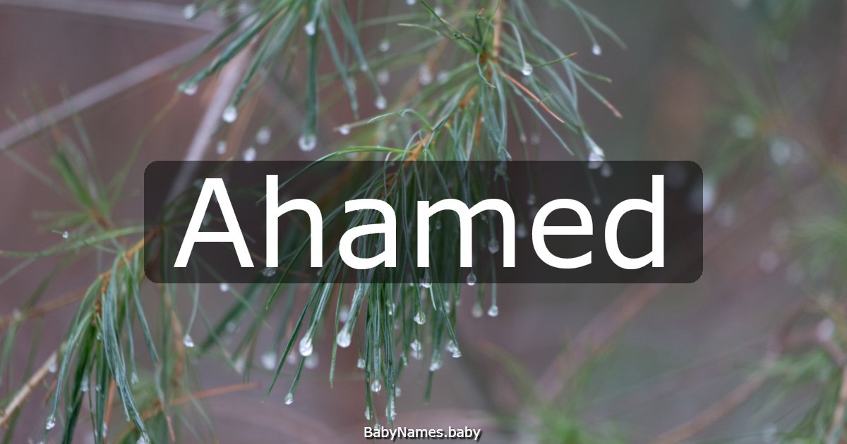 Ahamed