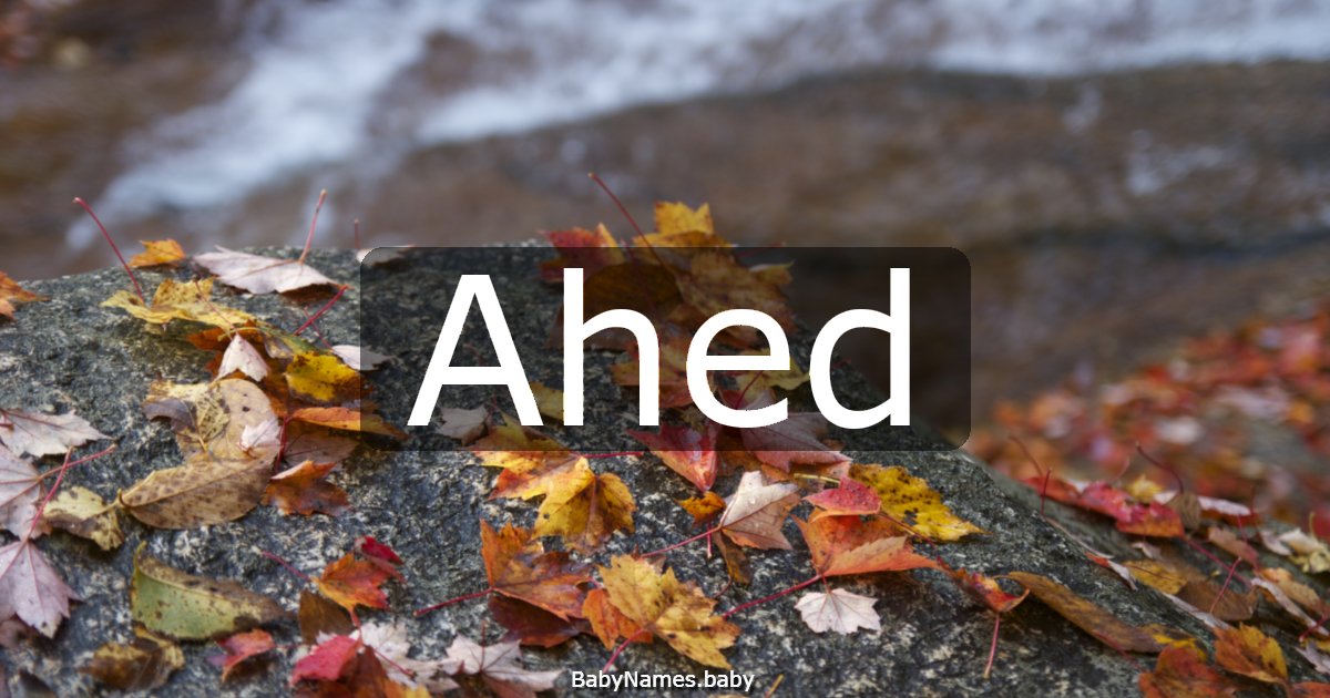 Ahed