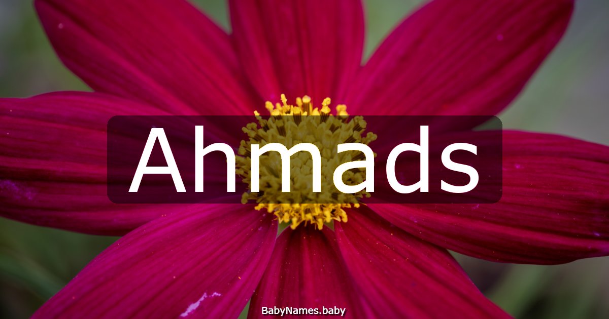 Ahmads