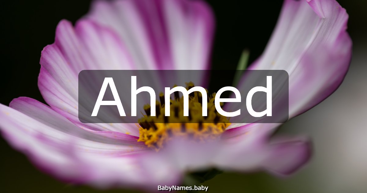 Ahmed